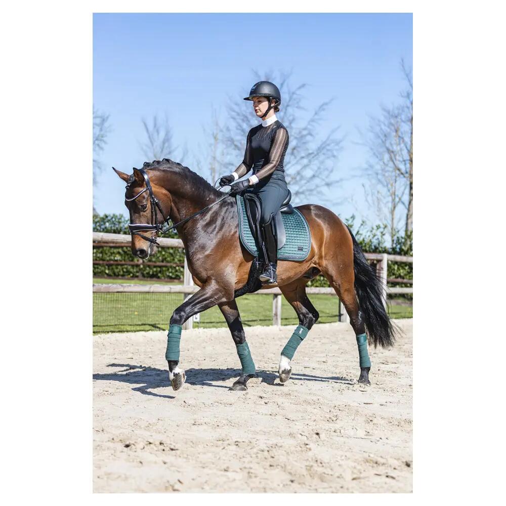Bandes de polo pour cheval ANKY 5/5