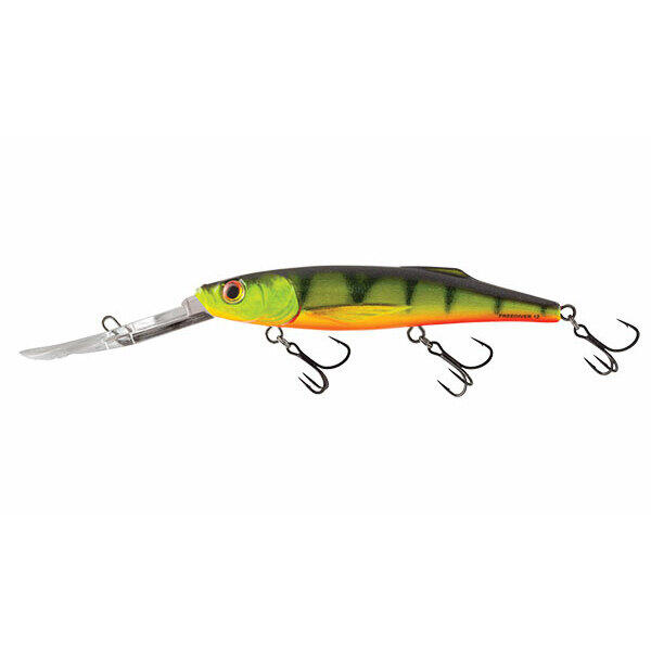SALMO picture