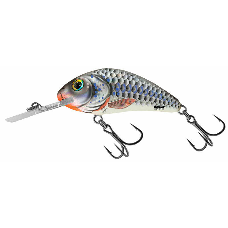 SALMO picture