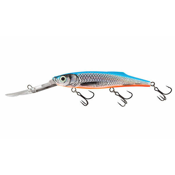 SALMO picture