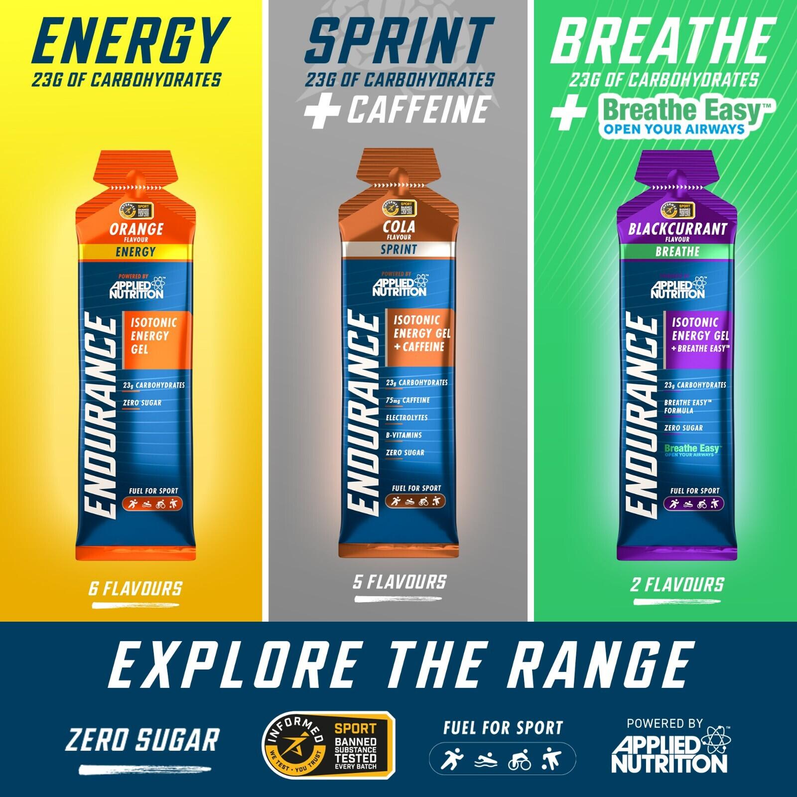 Applied Nutrition Endurance Sprint Gel (20x60ml) Blackcurrant 6/7