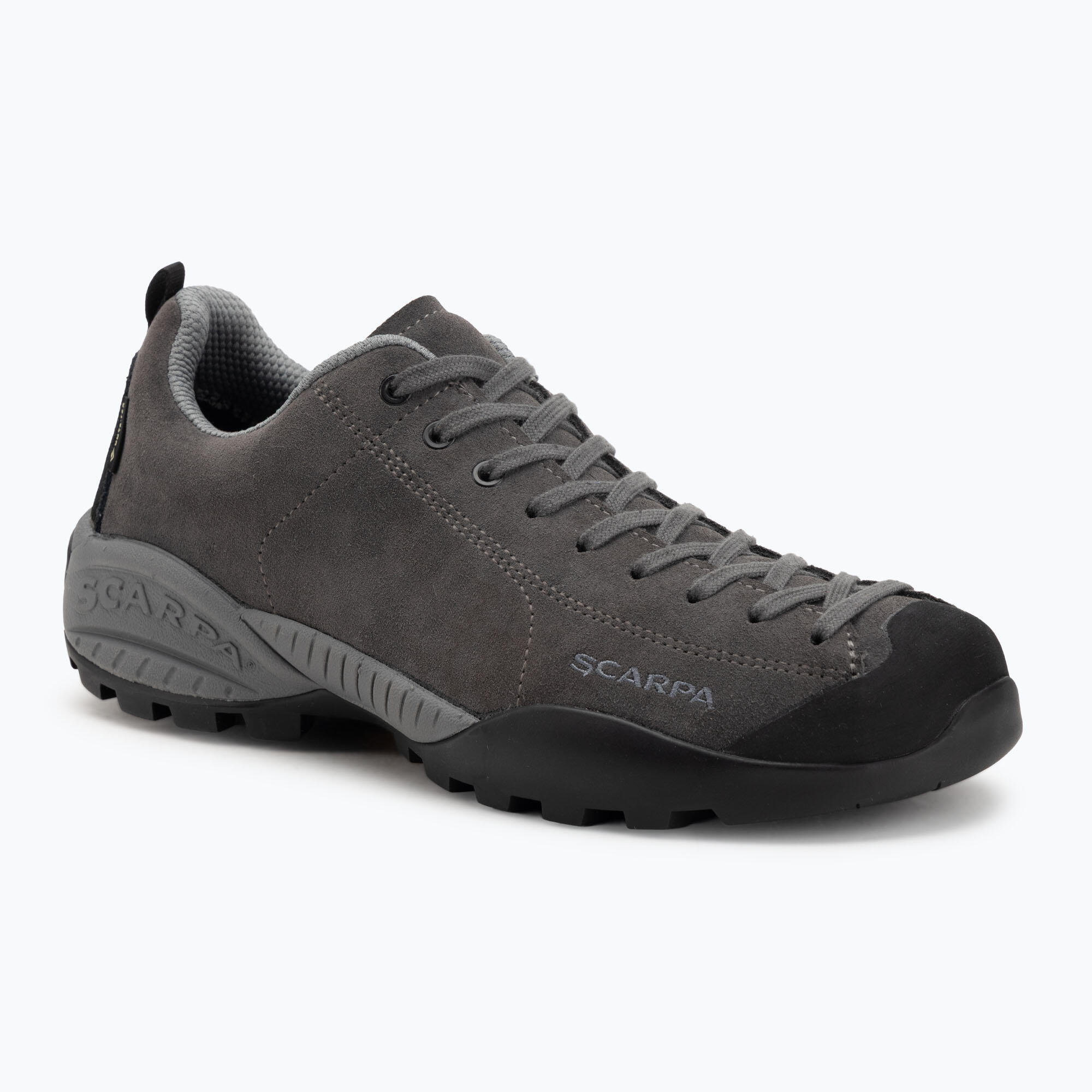 SCARPA picture