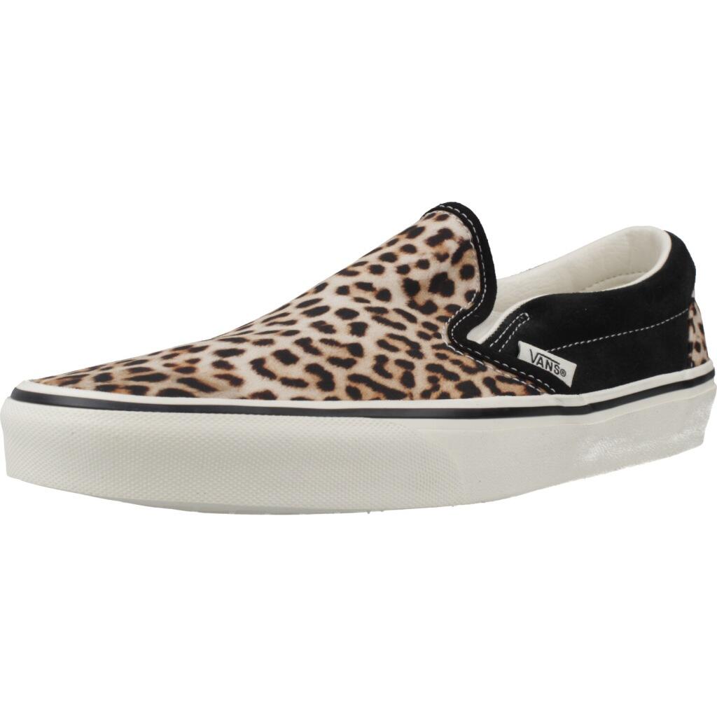 VANS picture