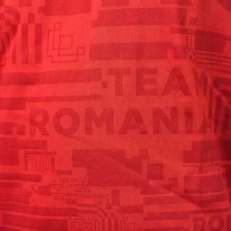 Tricou bumbac TeamRomania20 Rosu Masculin 4/4