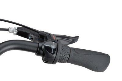 Batavus fonk 3 stadsfiets, shimano nexus, zwart
