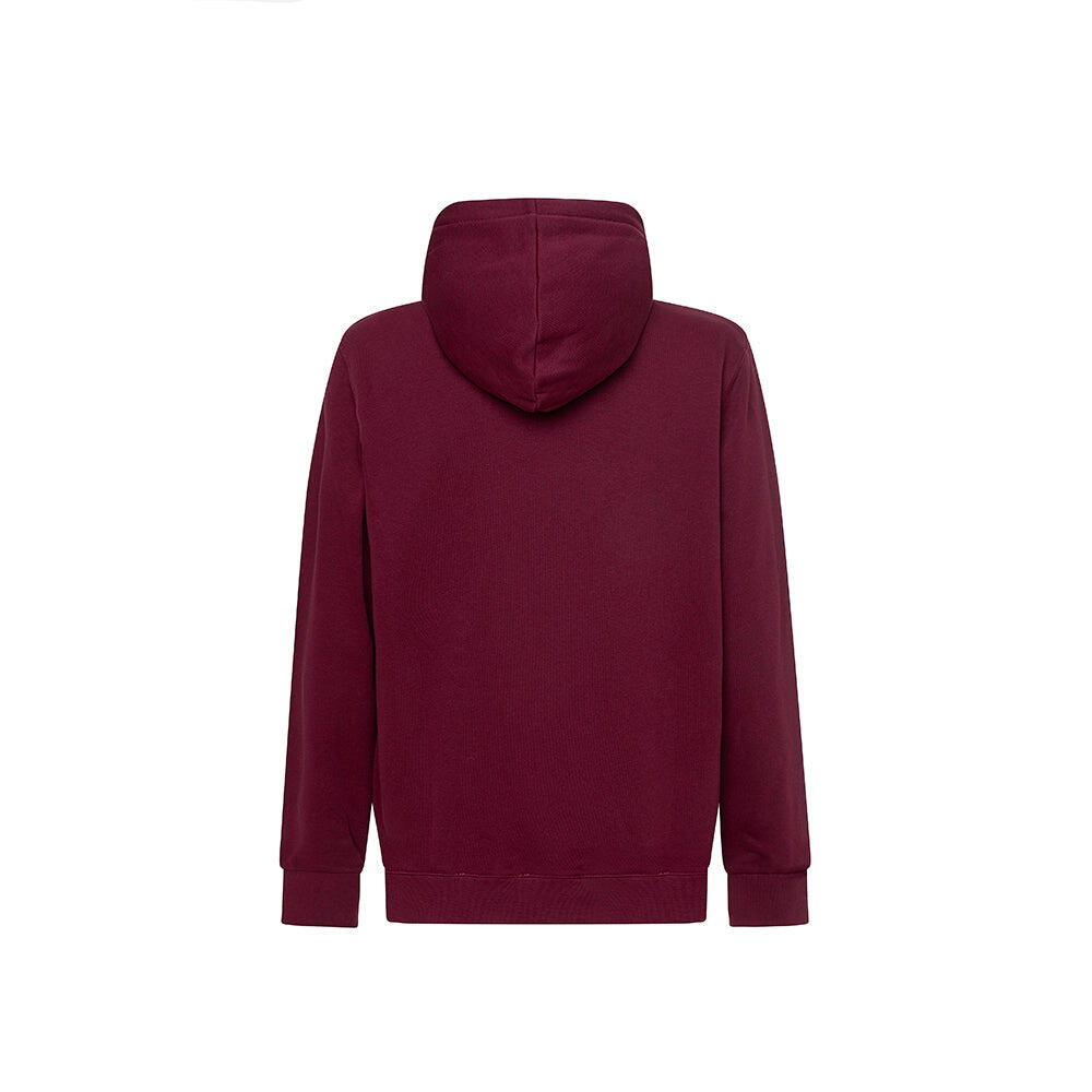 Felpa con cappuccio Iconic  BORDEAUX 2/5