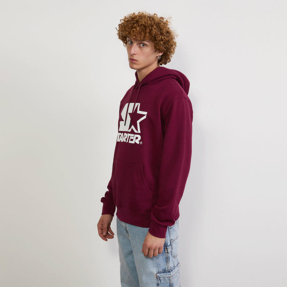 Felpa con cappuccio Iconic  BORDEAUX 5/5