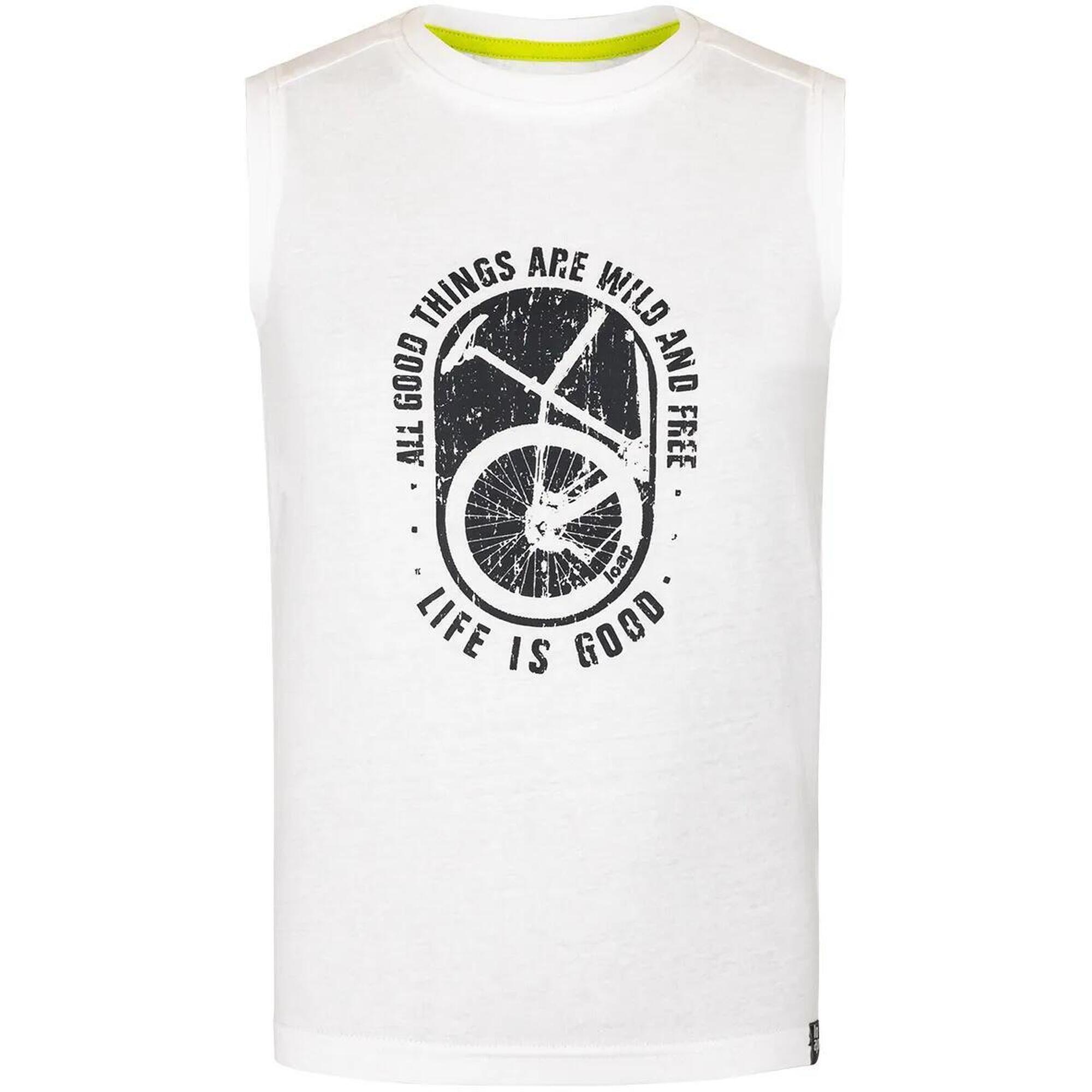 8cfa1334-77d3-43f3-9cbf-b5f1b8e5e352_c4