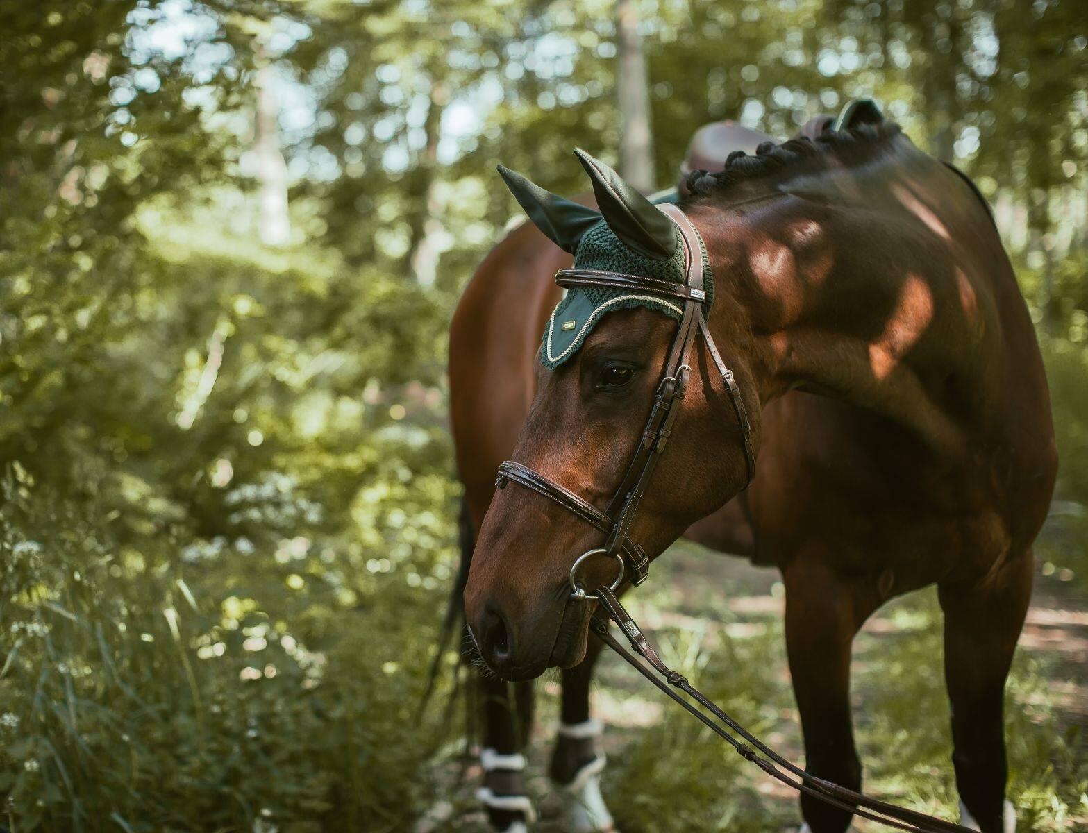 Bonnet anti-mouches FOREST GREEN - Equestrian Stockholm 3/4
