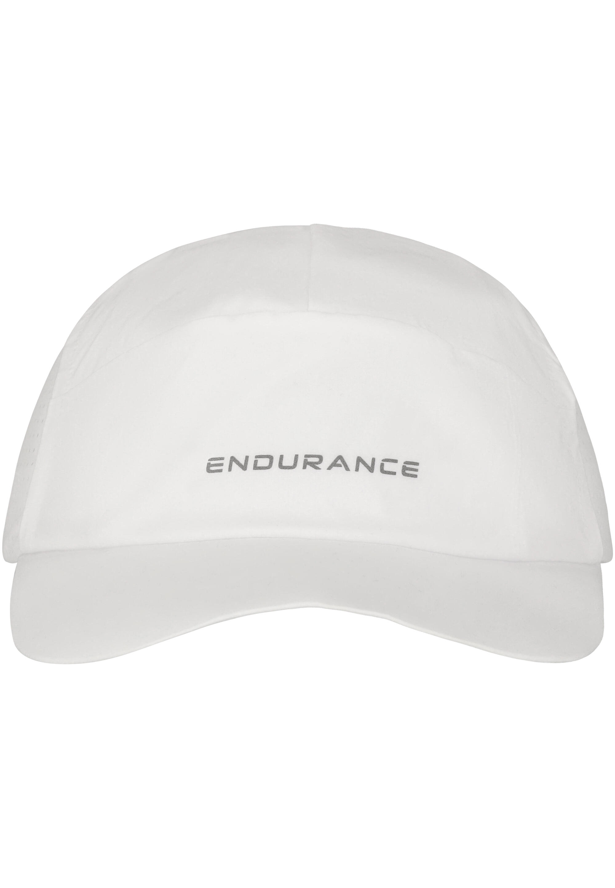 ENDURANCE picture