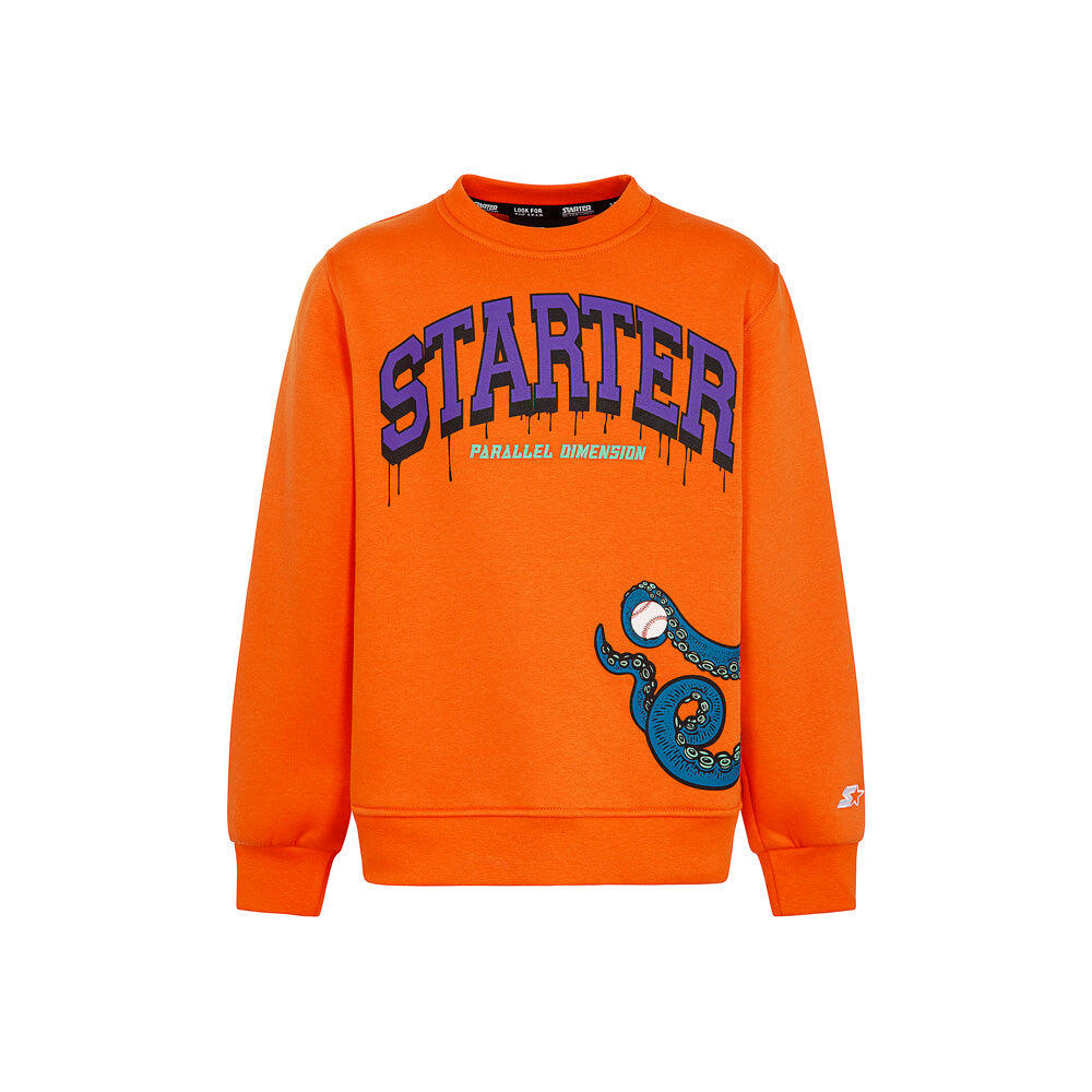 STARTER picture