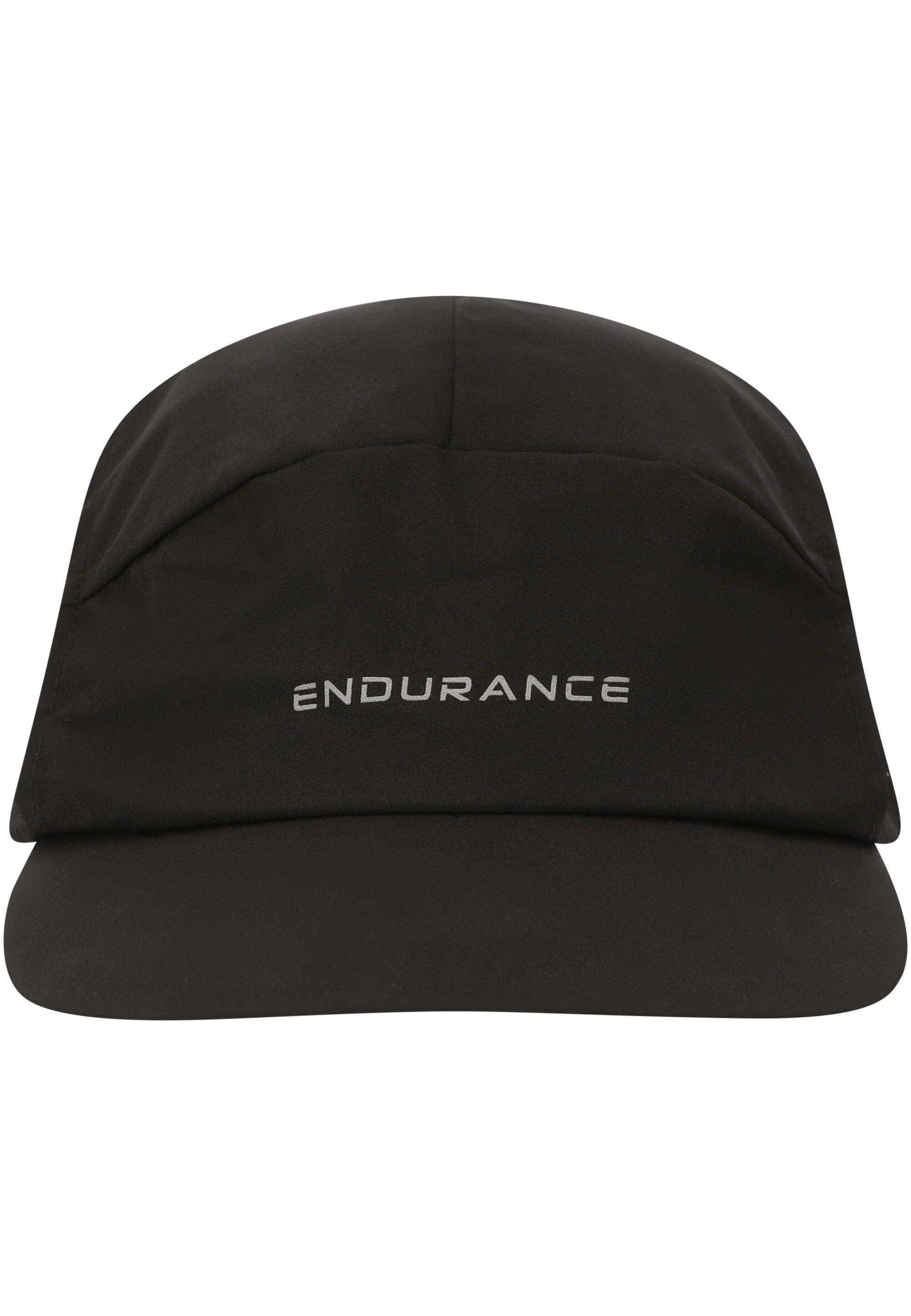 ENDURANCE picture
