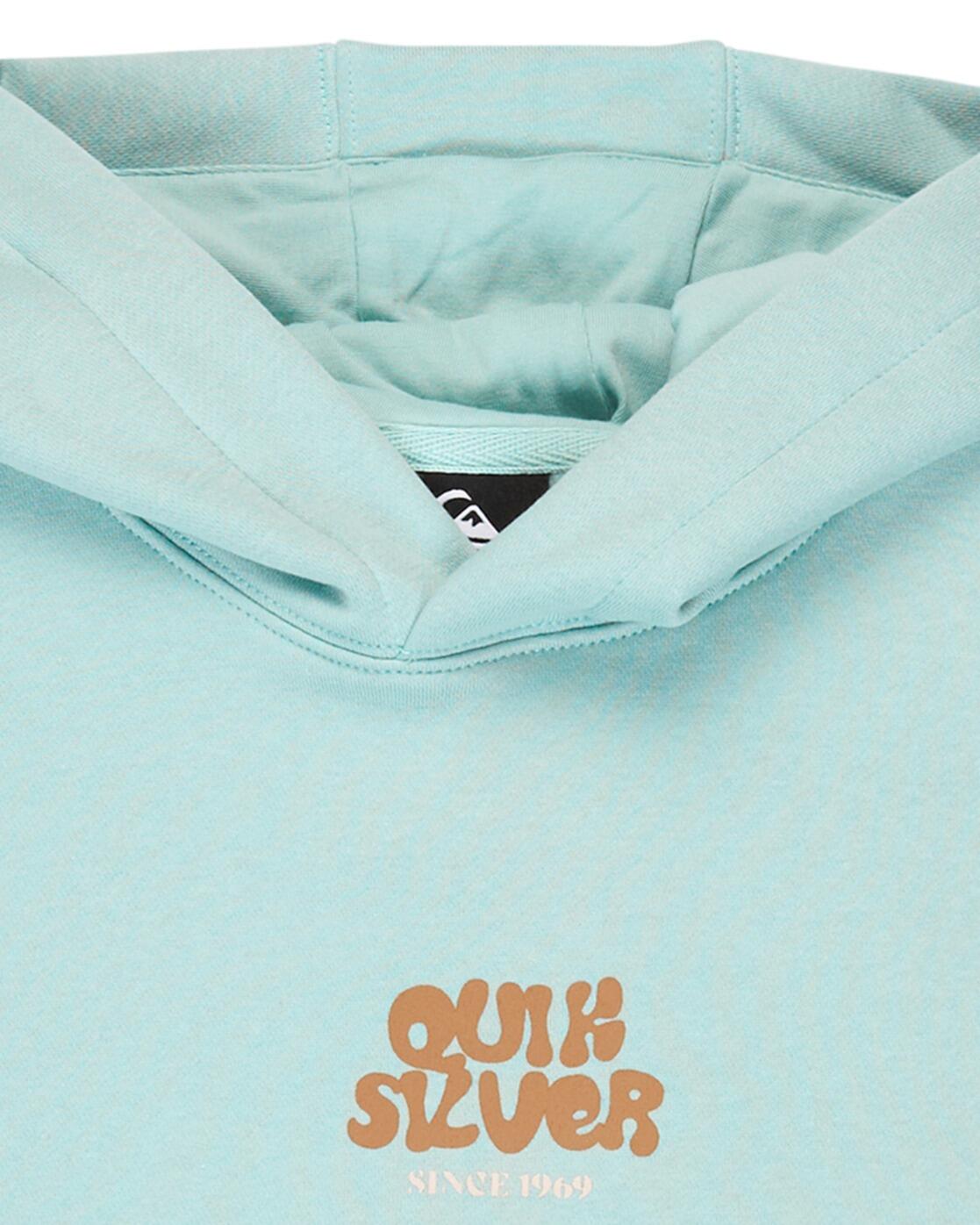 Sweat à capuche GRAPHIC Bleu Jeune Garçon 3/3