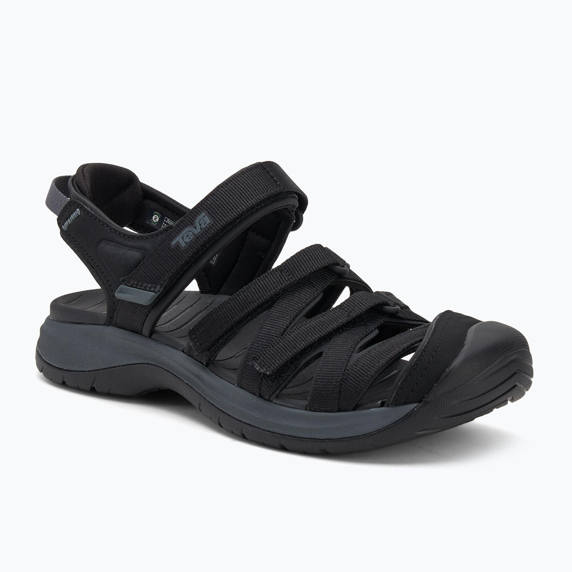 TEVA picture