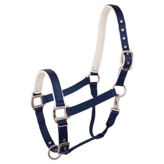 Licol pour cheval BR Equitation Event