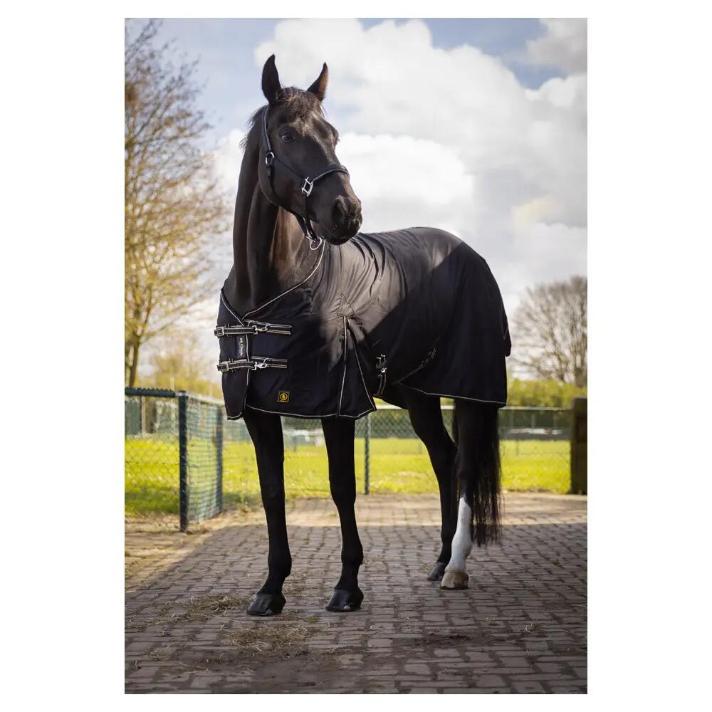 Camisa de algodão para cavalos BR Equitation Classic 2/3