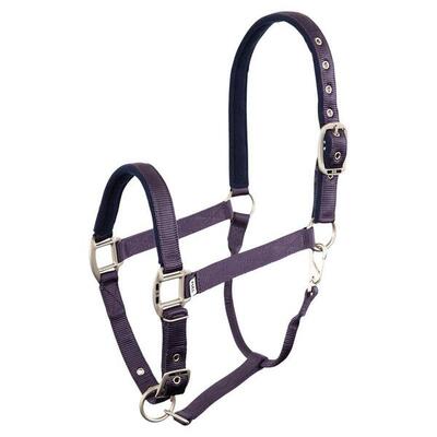 Halster voor paarden br equitation event