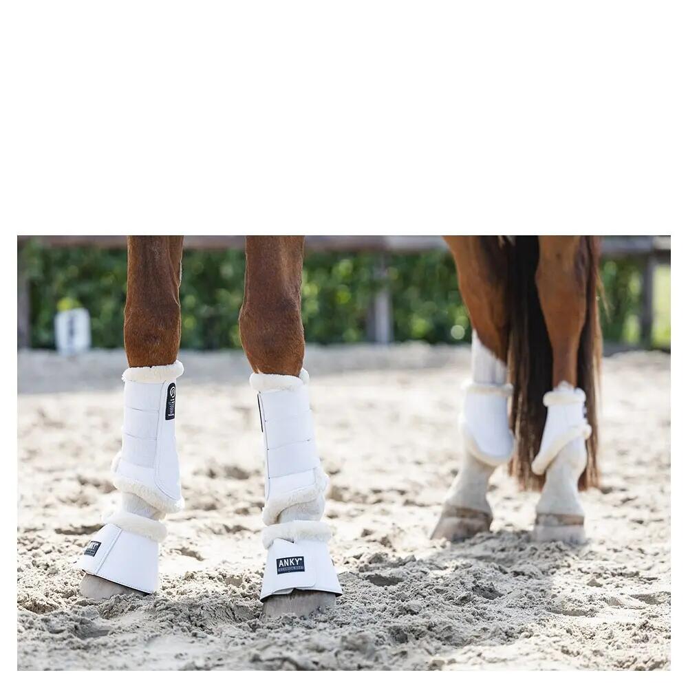Protège-boulets pour cheval ANKY 3/3