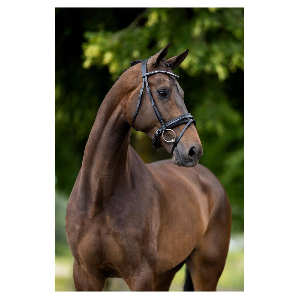 Anatomisch geformte Reitzäume BR Equitation Lynton 3/3