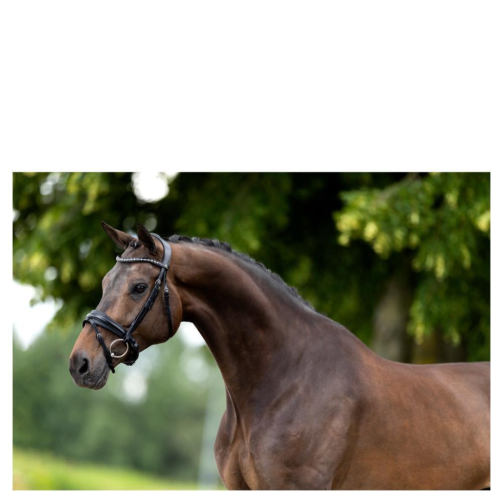 Anatomisch geformte Reitzäume BR Equitation Lynton 2/3