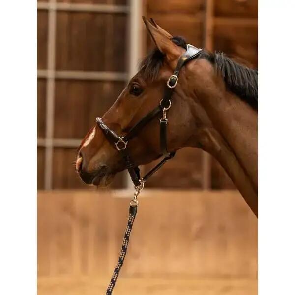 Licol pour cheval en cuir PS of Sweden Palermo 3/3