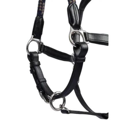 Licol pour cheval en cuir PS of Sweden Palermo