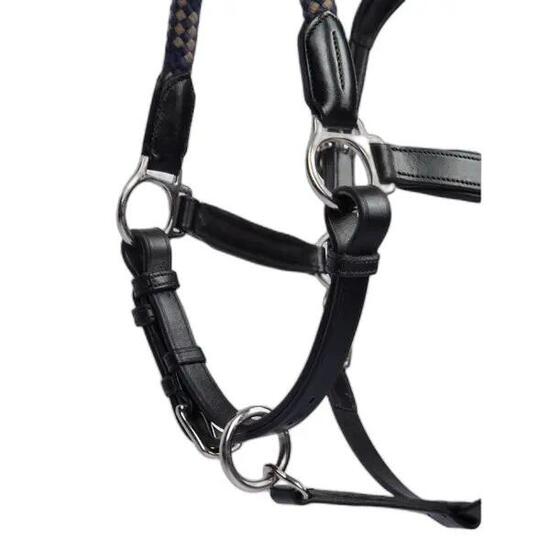 Licol pour cheval en cuir PS of Sweden Palermo