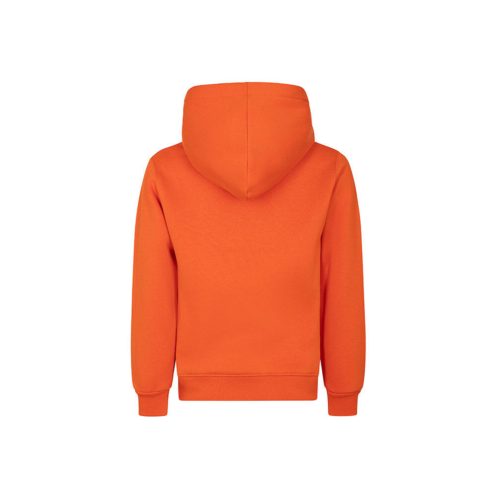 Sudadera con capucha Starter 1483 naranja 2/3