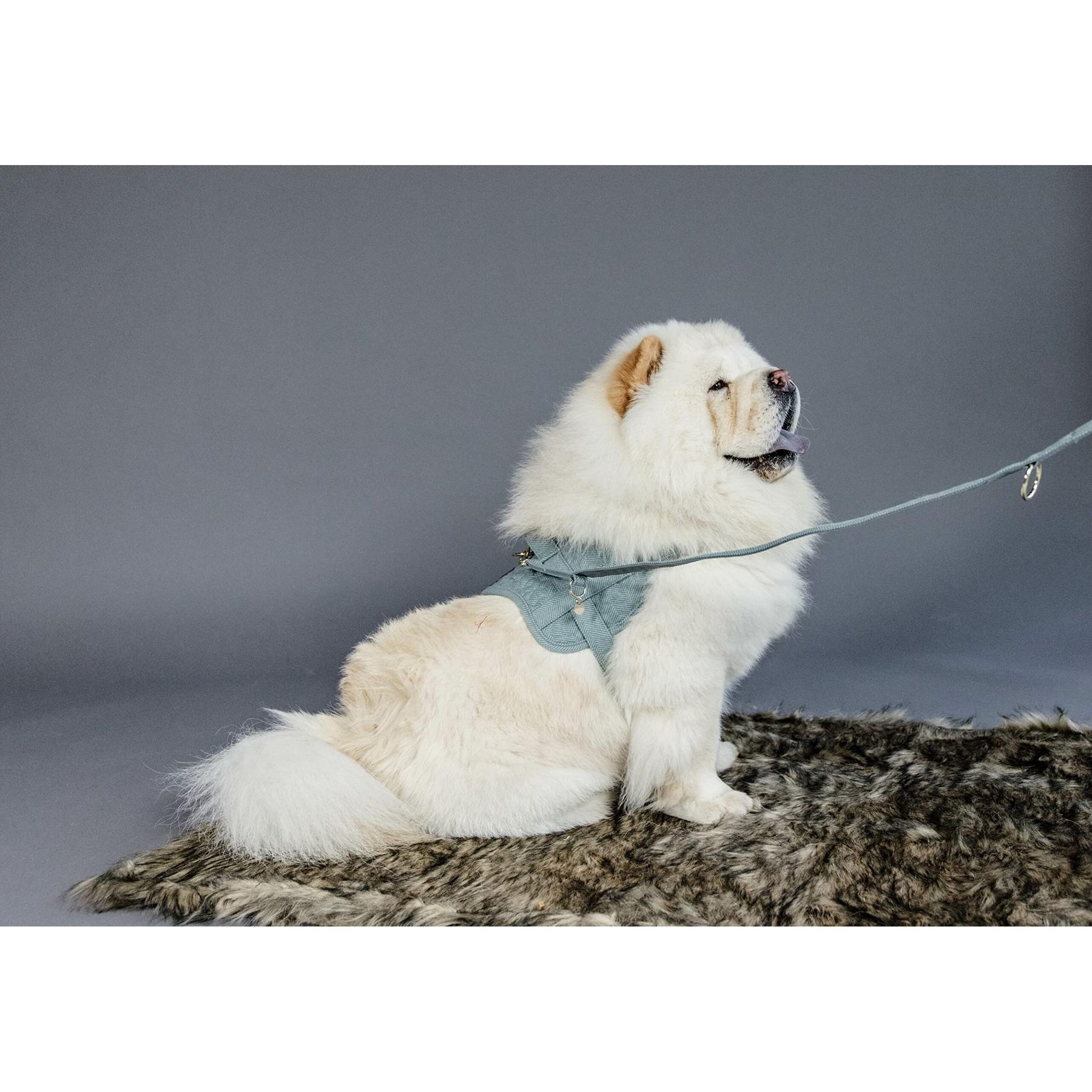 Harnais pour chien laine Kentucky Body Safe 5/6