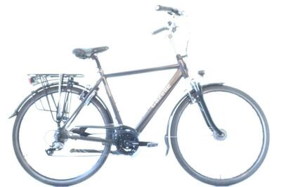Gazelle arroyo t24, bruin