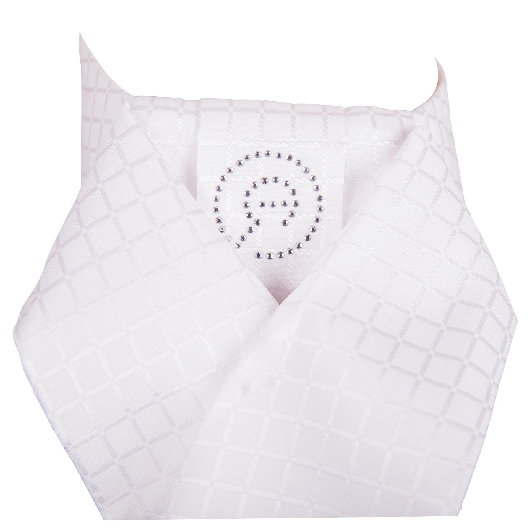 Cravatta da equitazione ANKY Delux 2/2