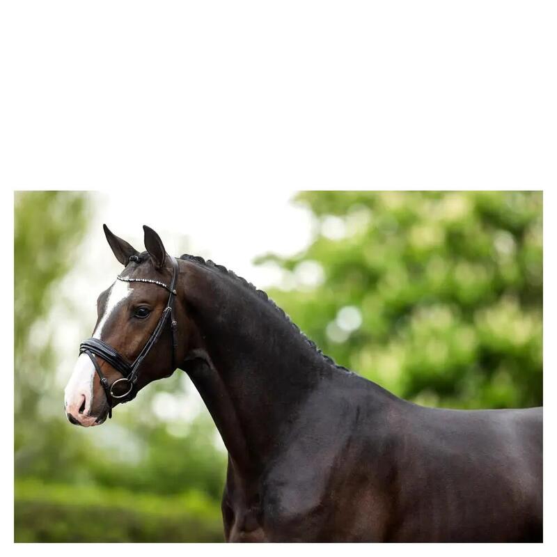 Bridon BR Equitation Andover cu caracteristici anatomice