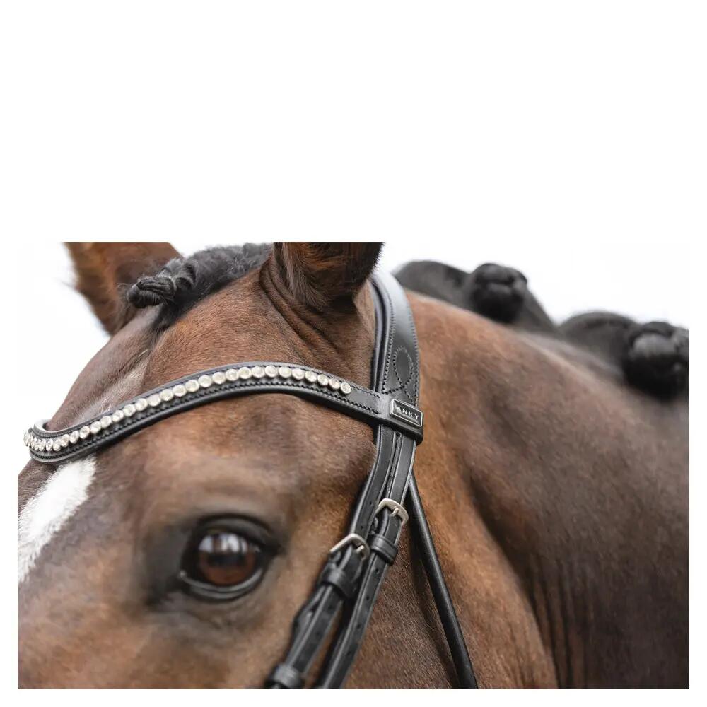 Bridons équitation muserolle combinée anatomique ANKY 2/4