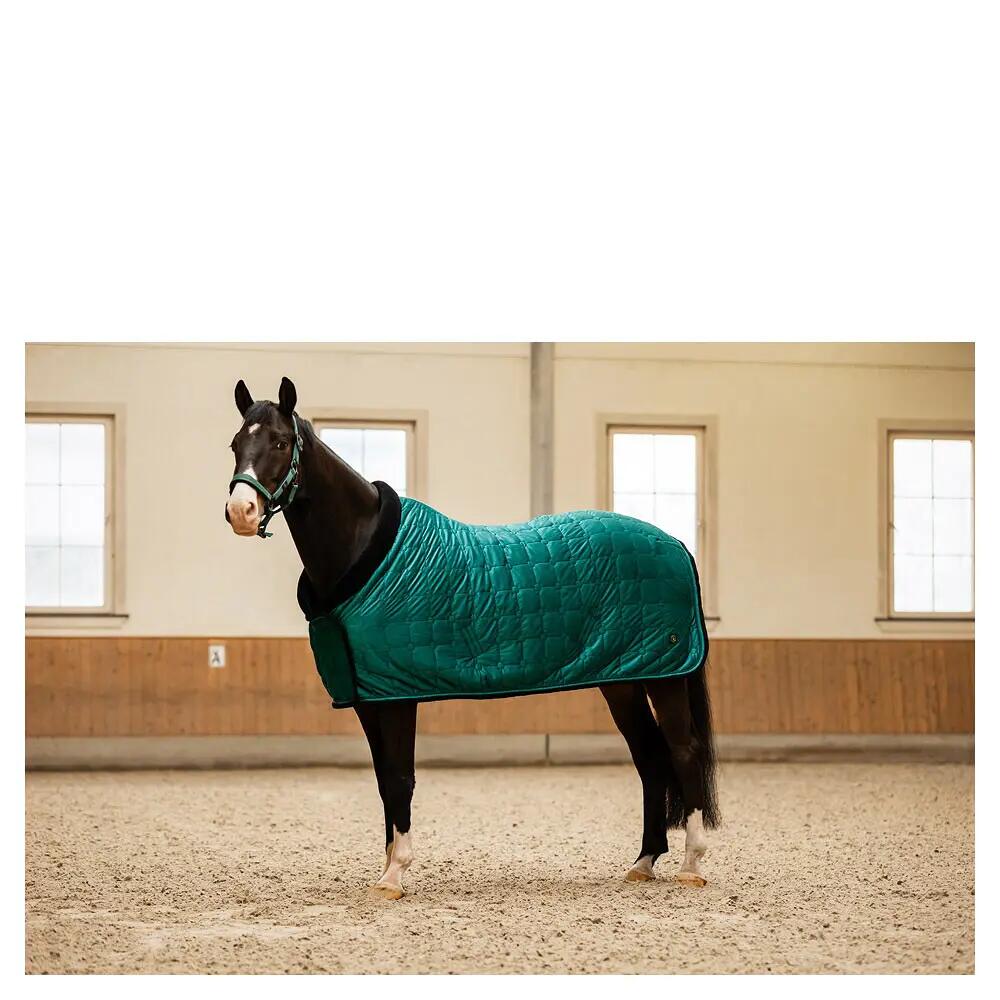 Couverture polaire pour cheval BR Equitation CLX 2/4