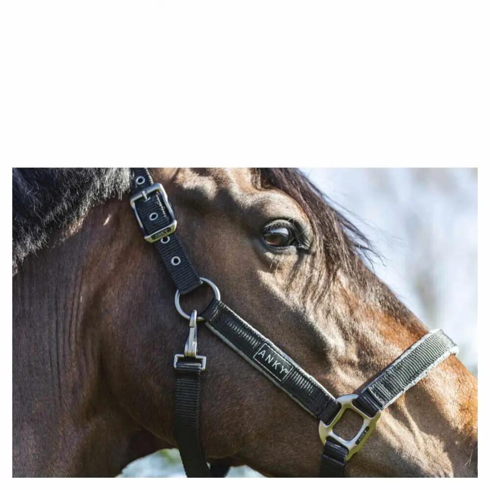 Cabresto de couro para cavalos ANKY Grooming 3/3