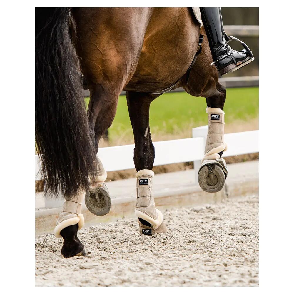Guêtres para cavalo fechadas ANKY Proficient 2/4