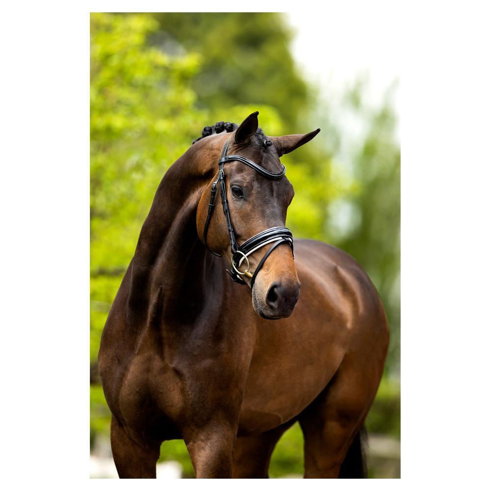 Anatomische hoofdstellen BR Equitation Kingston 3/3