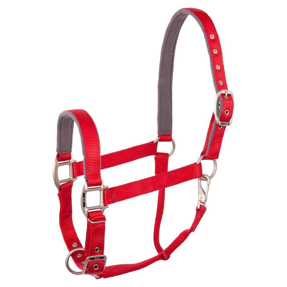 Halster voor paarden BR Equitation Event 1/1