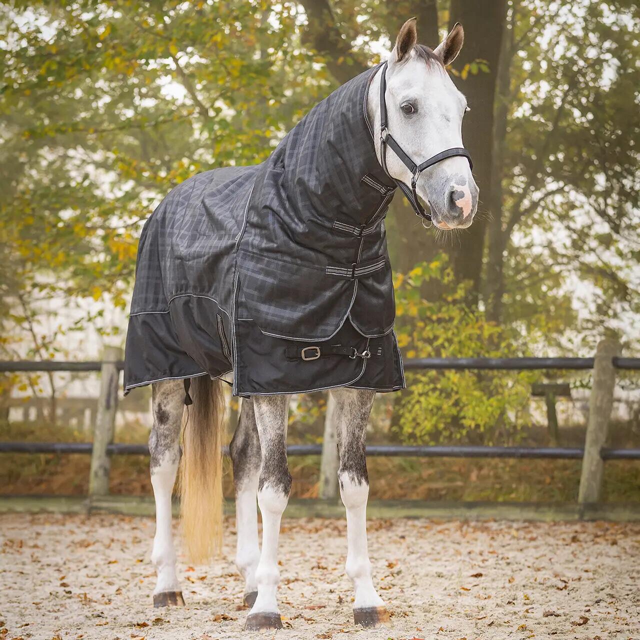 Coperta staccabile per cavallo al collo QHP Collection 150g 2/2