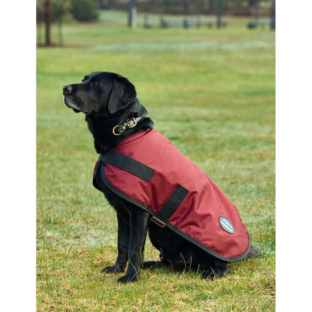 Wasserdichter Hundemantel Weatherbeeta Comfitec Classic 3/5