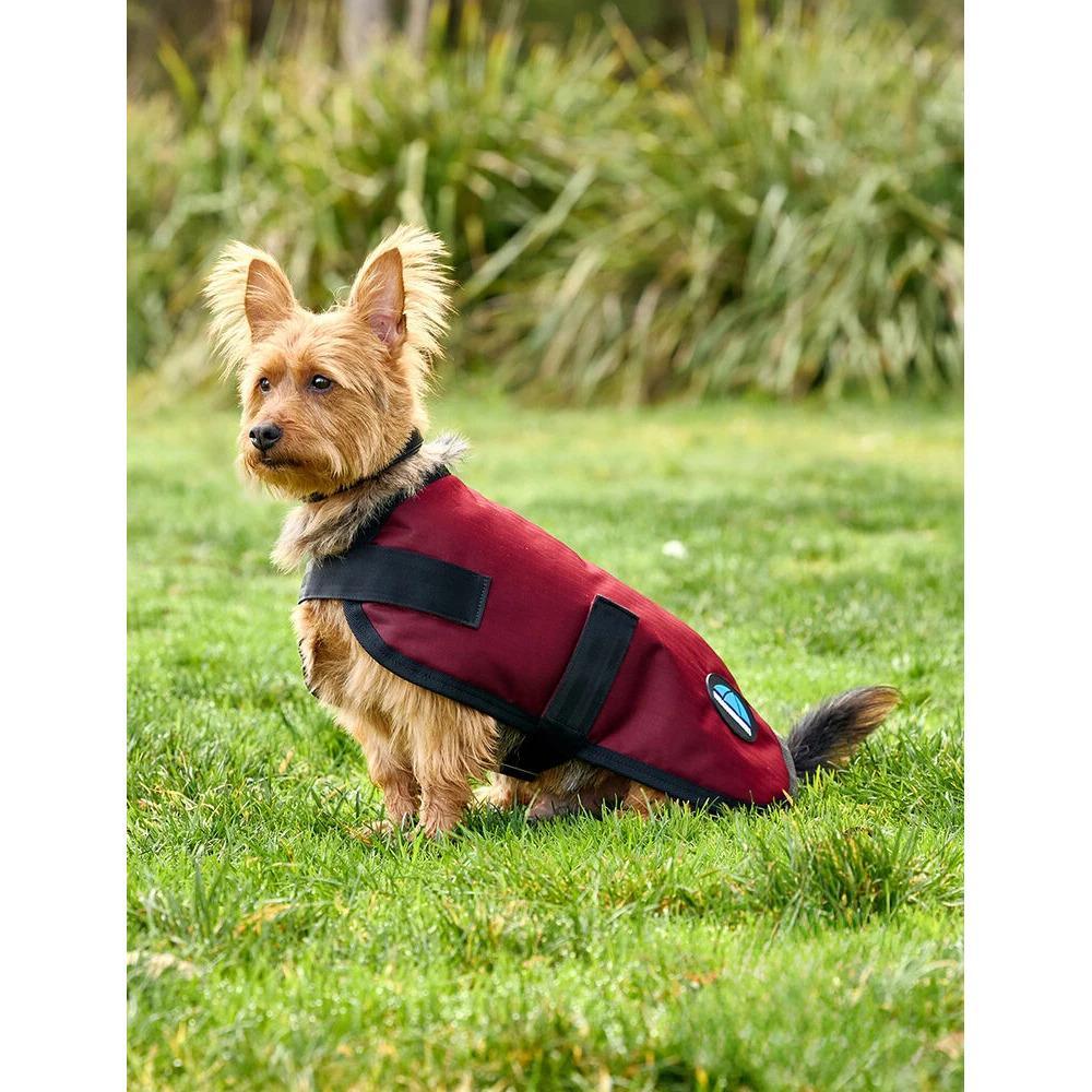 Wasserdichter Hundemantel Weatherbeeta Comfitec Classic 2/5