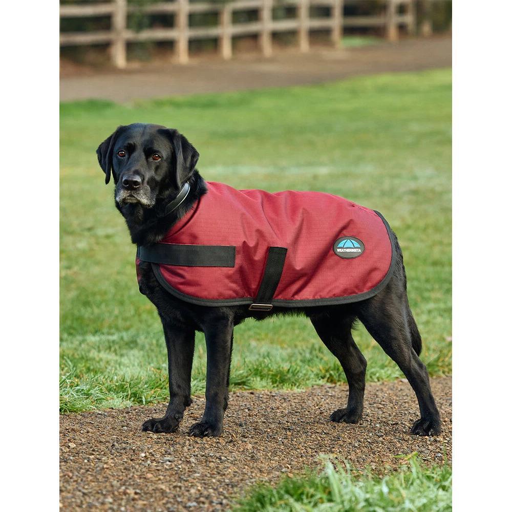 Wasserdichter Hundemantel Weatherbeeta Comfitec Classic 5/5