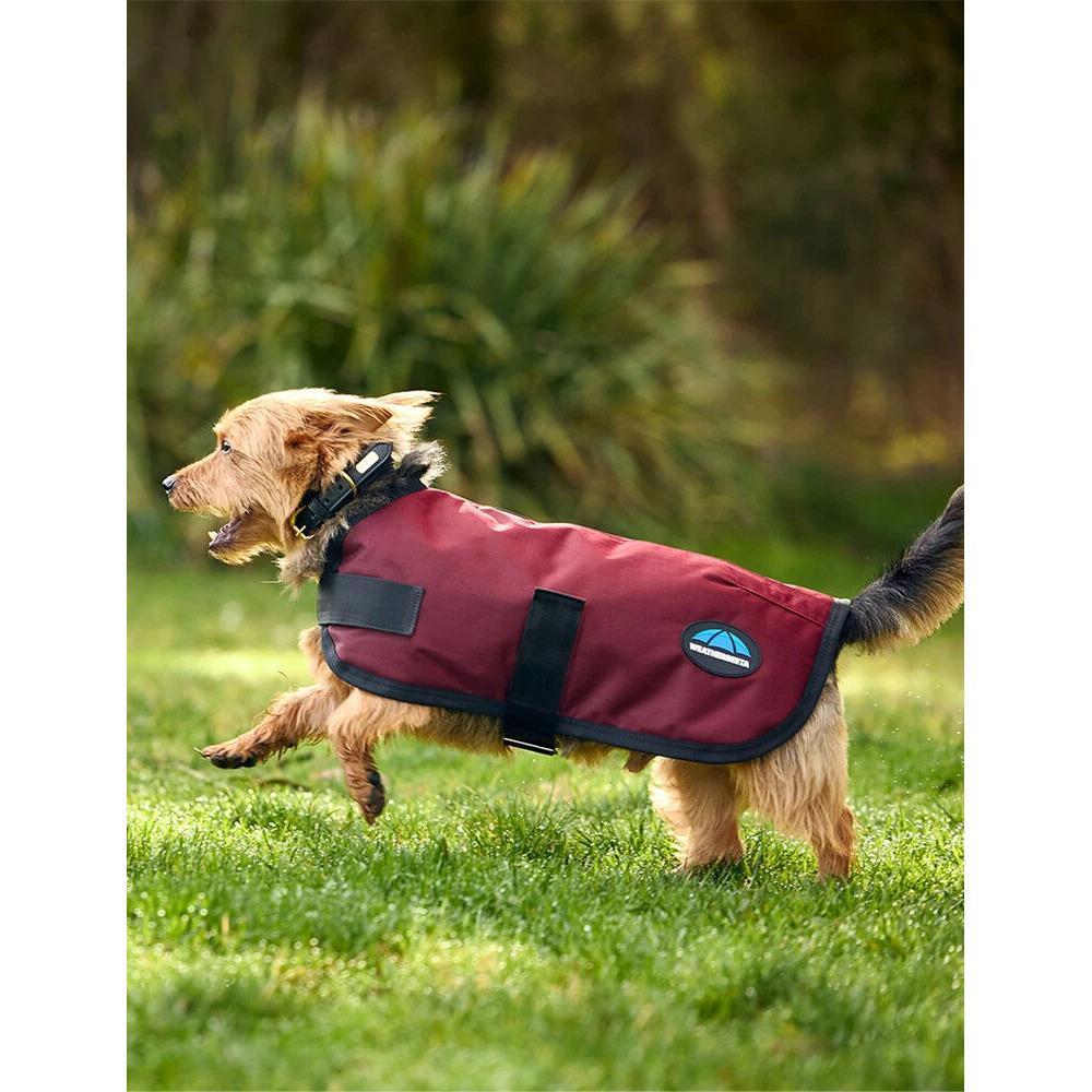 Wasserdichter Hundemantel Weatherbeeta Comfitec Classic 4/5