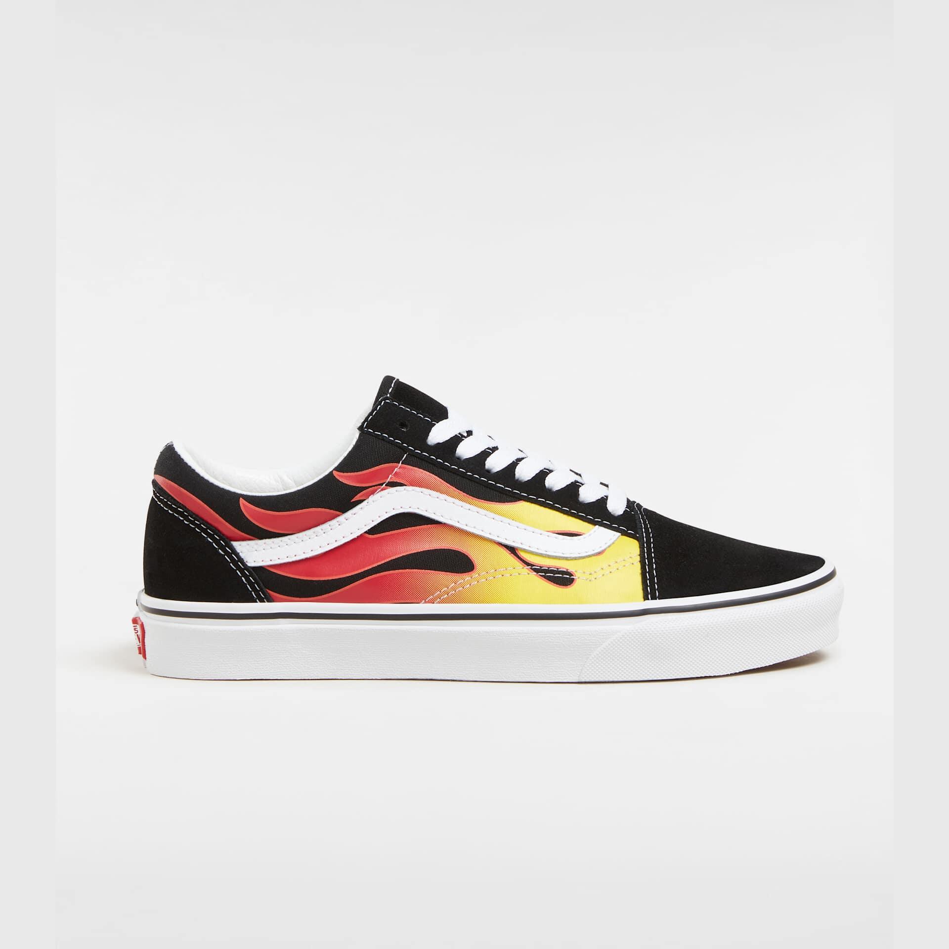 VANS picture