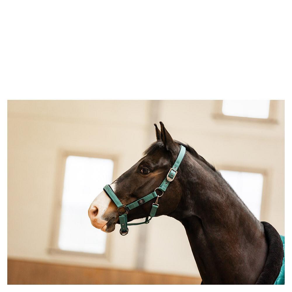 Cavezza BR Equitation CLX 2/2