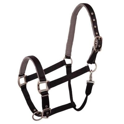 Halster voor paarden br equitation event