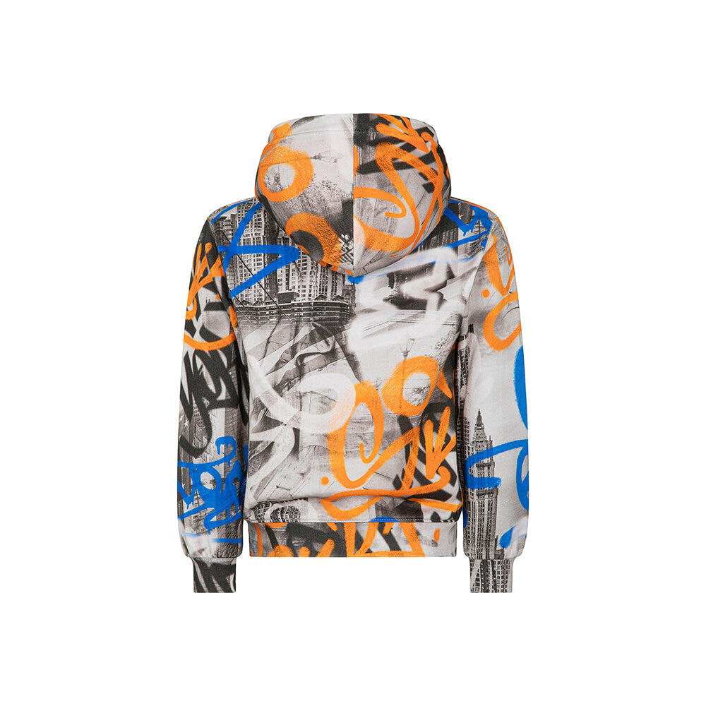 Sudadera con capucha Starter 1481 multicolor 2/3