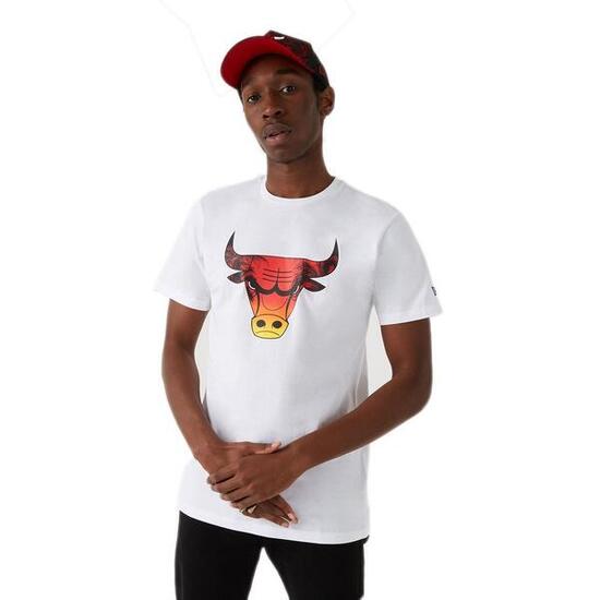 Tee-shirt New Era TEE-SHIRT HOMME CHICAGO BULLS SUMMER CITY NEW ERA