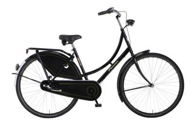 Pointer glorie de luxe 50 cm, dames, zwart