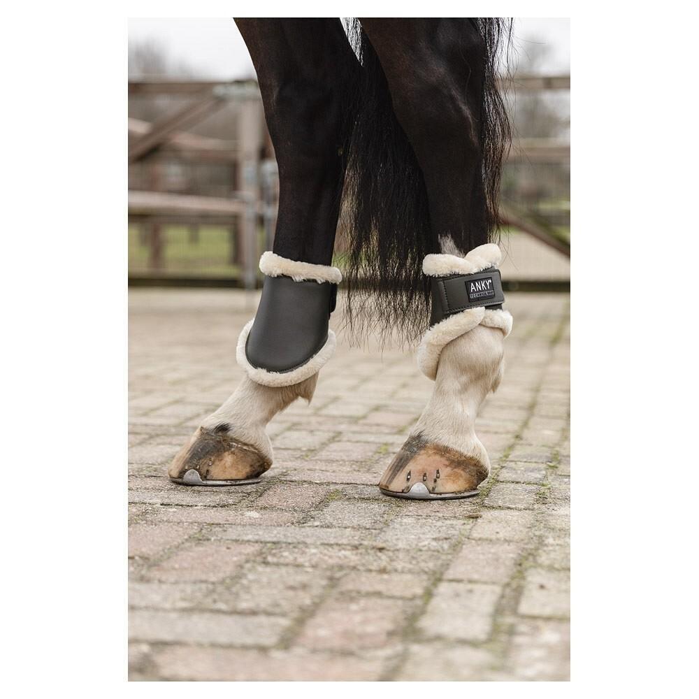 Protège-boulets pour cheval ANKY 3/4